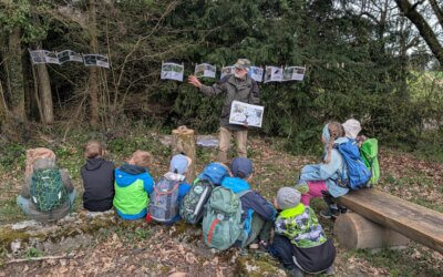 Junior Ranger UNESCO Bettlachstock – Auf Spurensuche mit dem Specht – dem Zimmermann des Waldes