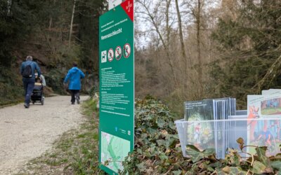 Tag des Waldes – unterwegs als NaturRanger