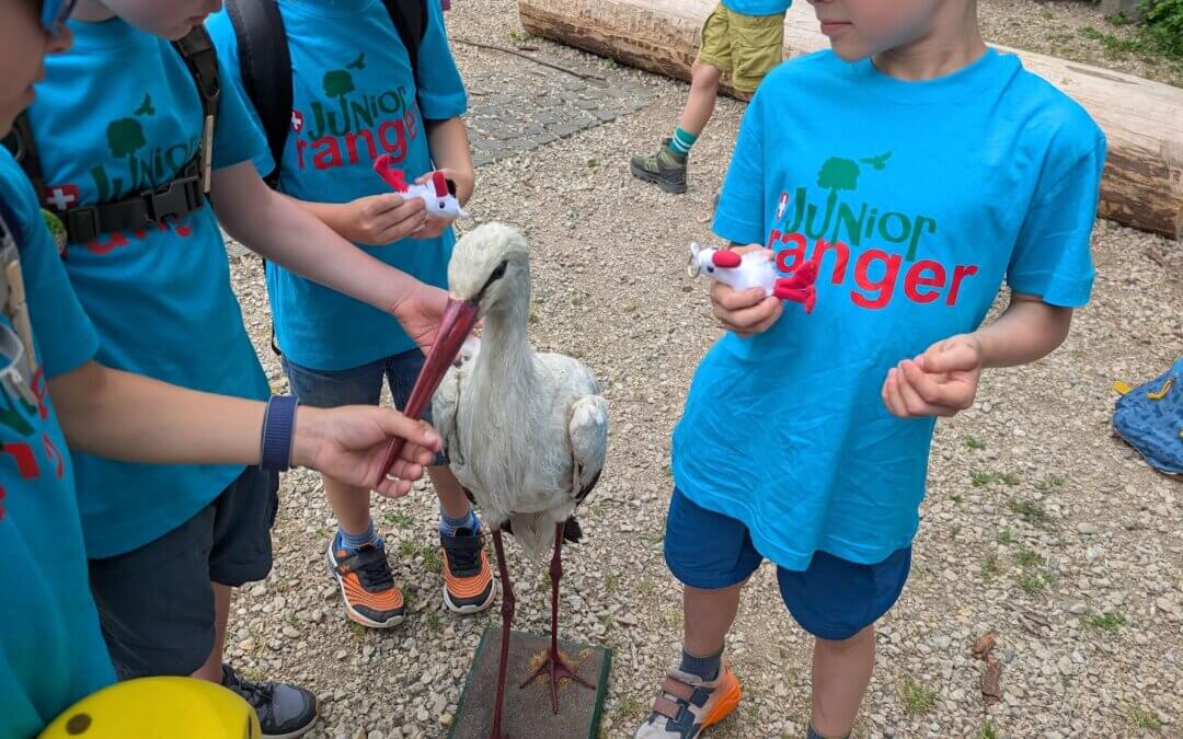 Junior Ranger UNESCO Bettlachstock – Was von unserem ersten Rangerjahr bleibt