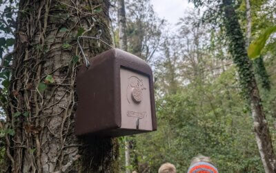 Junior Ranger UNESCO Bettlachstock – Haselmaus, Waldrand und eine grosse Überraschung